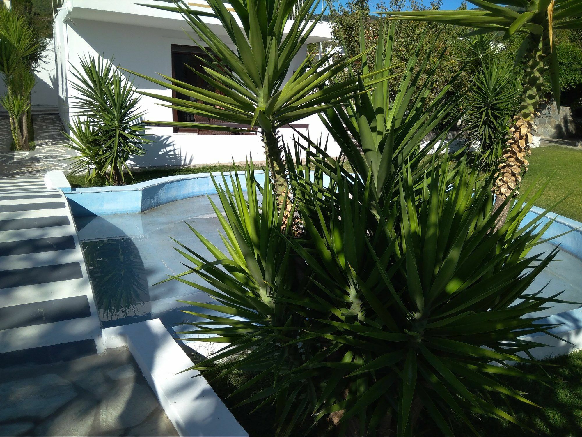 Skiathos House المظهر الخارجي الصورة